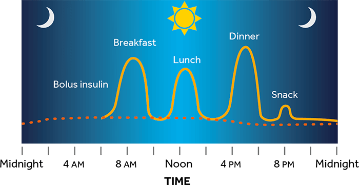 Mealtime (Bolus) insulin graph