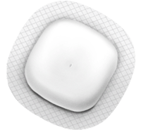 Continuous Glucose Monitor (CGM)