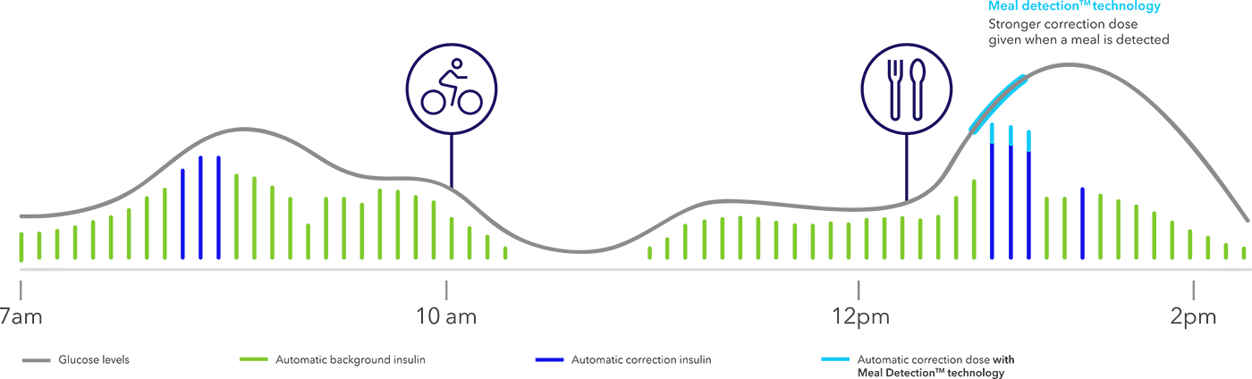 Auto basal + Auto corrections chart